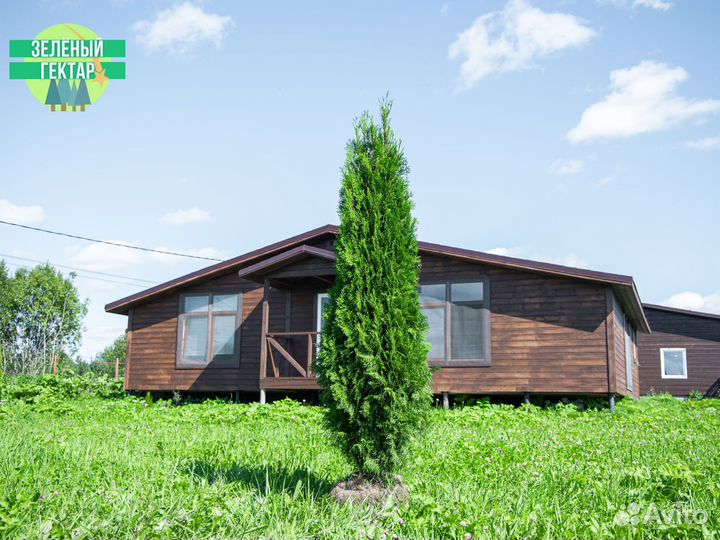 Туи смарагд 100 см свежая копка 2023