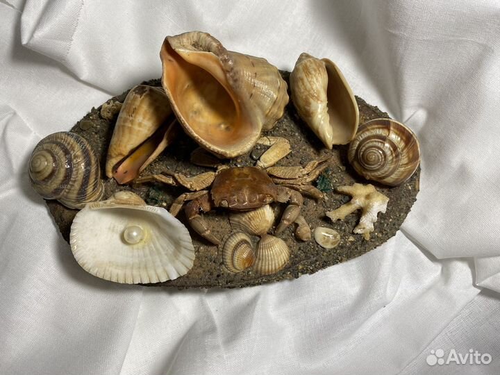Сувениры из ракушек с Черного моря