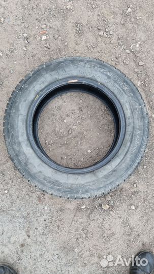 Tigar Sigura Stud 175/70 R14 84T