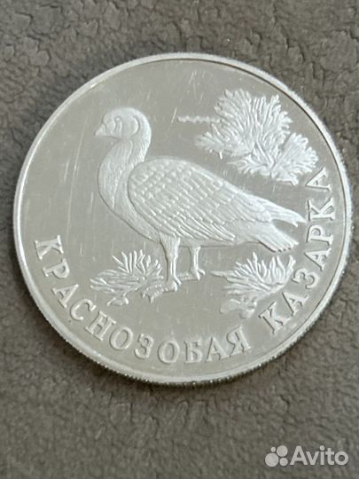 Монета Краснозобая казарка