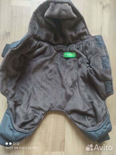 Одежда для маленькой собачки