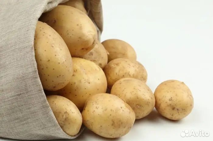 Картофель