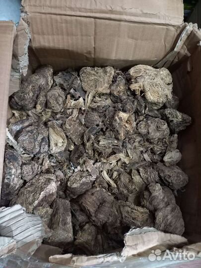 Ширш оргинал 100 процент