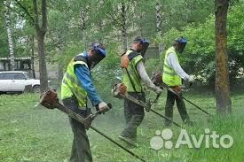 Покос скос травы на учстке триммером