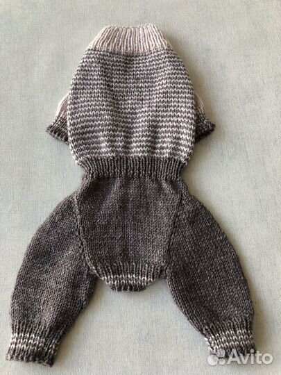 Одежда для домашних животных