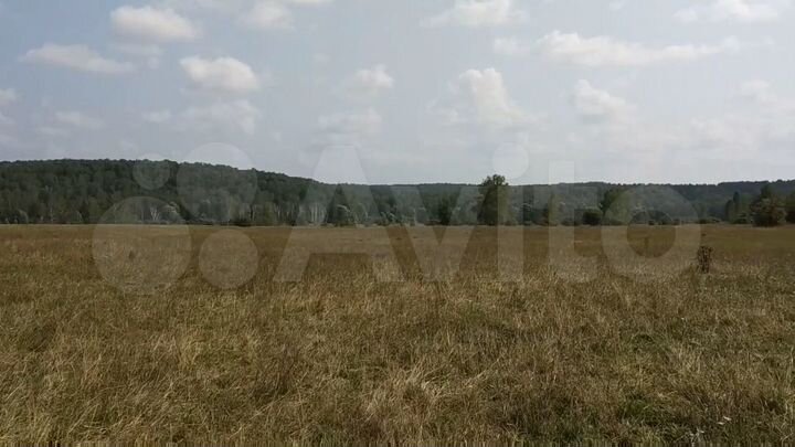 Участок 26 га (СНТ, ДНП)