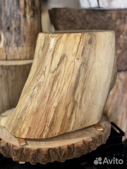 Пень дубовый