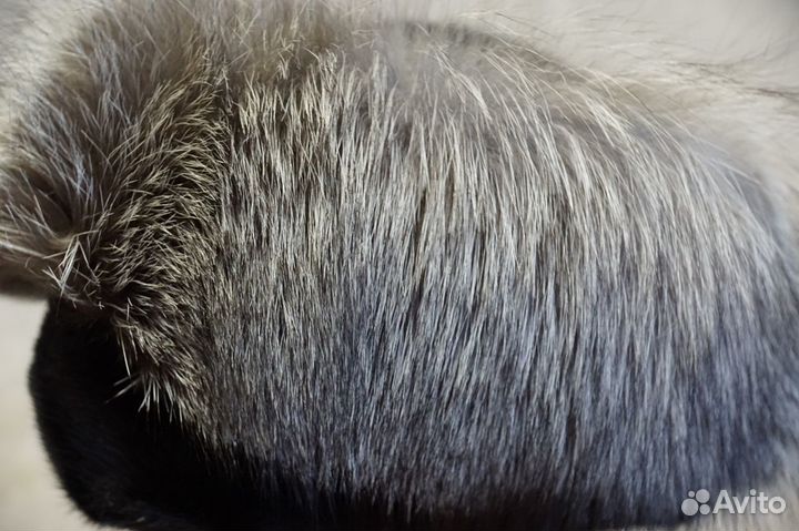 Шапка зимняя писец