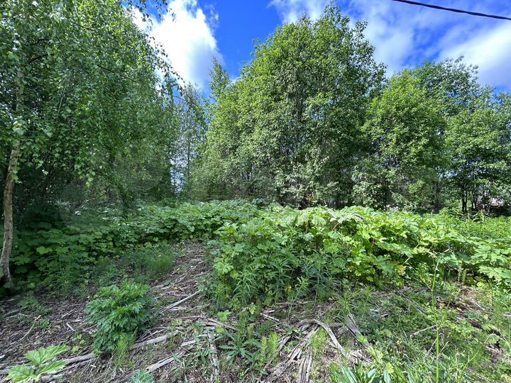 Участок 18,1 сот. (ИЖС)