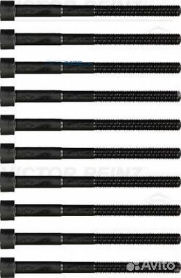 Комплект болтов головки блока 143233303 victor rei