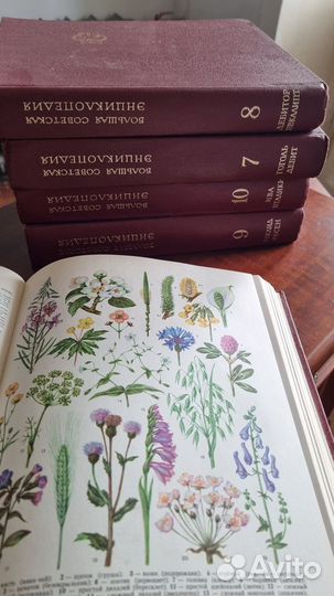 Большая советская энциклопедия 30 томов