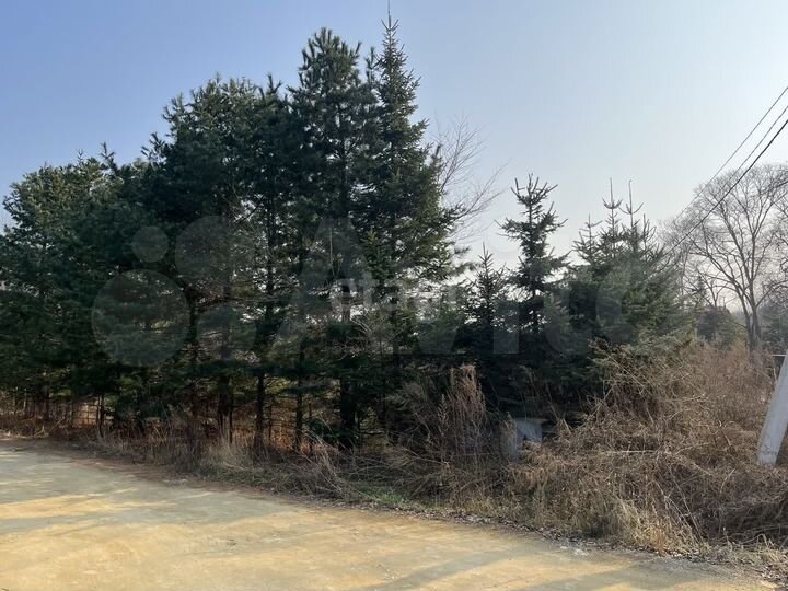 Участок 17,3 сот. (СНТ, ДНП)