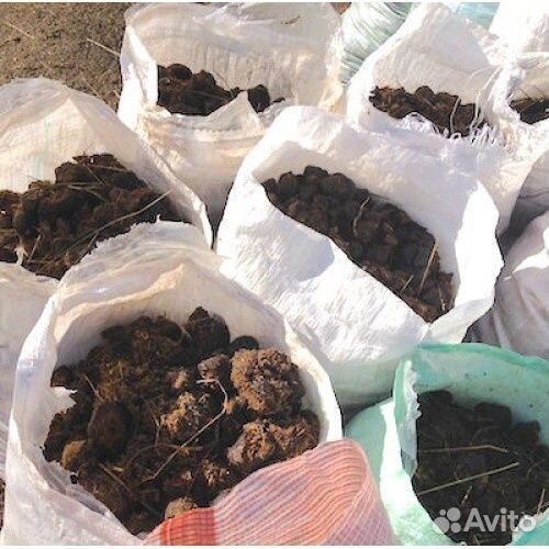 Навоз, перегной в мешках