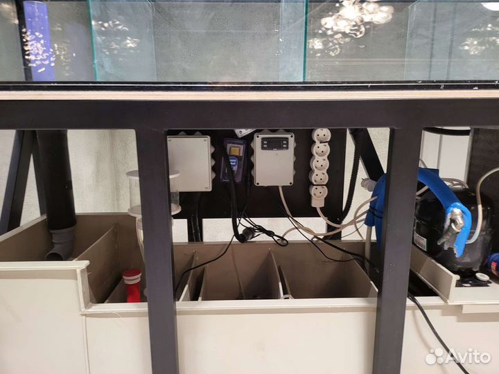 Аквариум для морепродуктов устриц краба гребешков