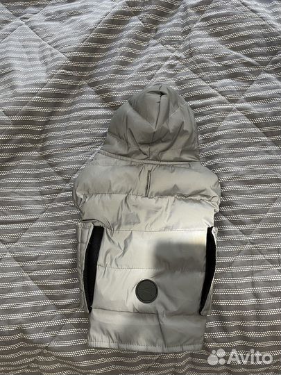 Толстовка для собак