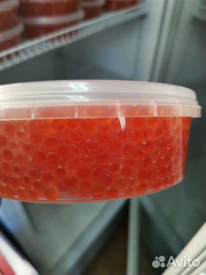 Красная Икра 2023 года