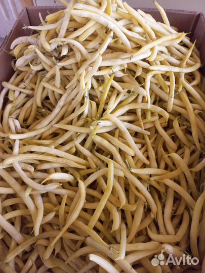 Фасоль туршевая