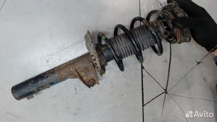 Амортизатор подвески Skoda Octavia (A5), 2010