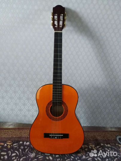 Акустическая гитара + чехол