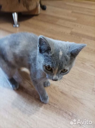 Найдена девчушка