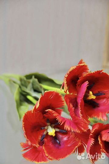 Букет тюльпанов