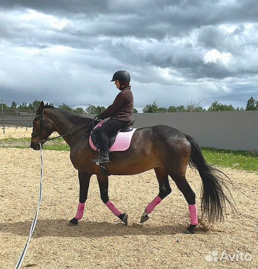 Тинкеры, мини-пони Уроки верховой езды Фотосессии