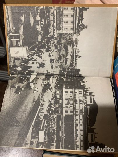 Золотой теленок двенадцать стульев. Декамерон