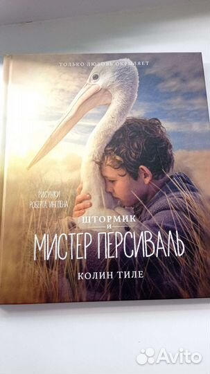 Книга Штормик и Мистер Персиваль