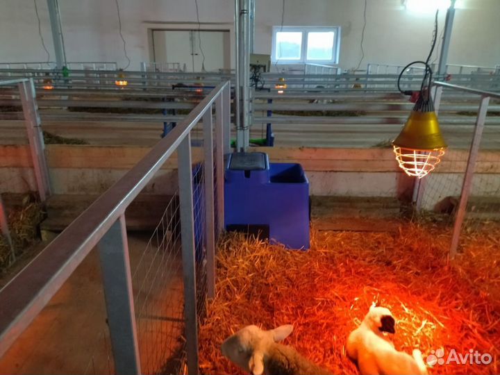 Поилки для крс. Рассрочка. Лизинг