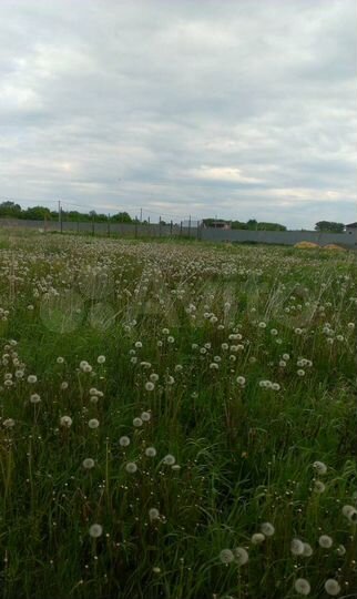 Участок 15 сот. (ИЖС)