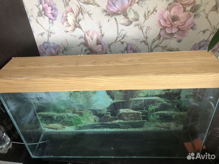 Аквариум 100 литров