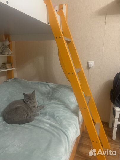 Двухярусная кровать