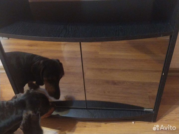 Тумба под телевизор