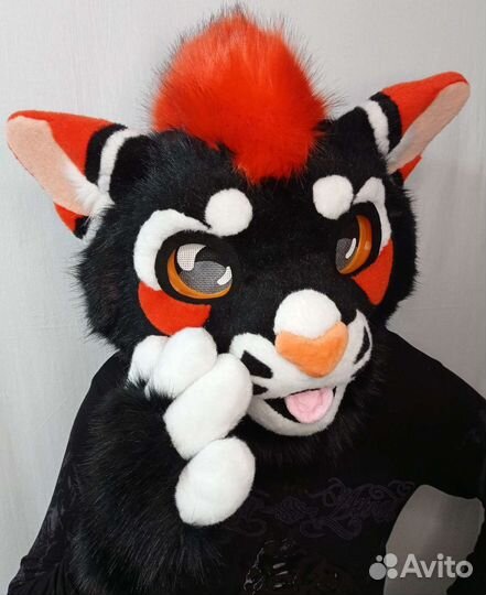 Фурсьют кот