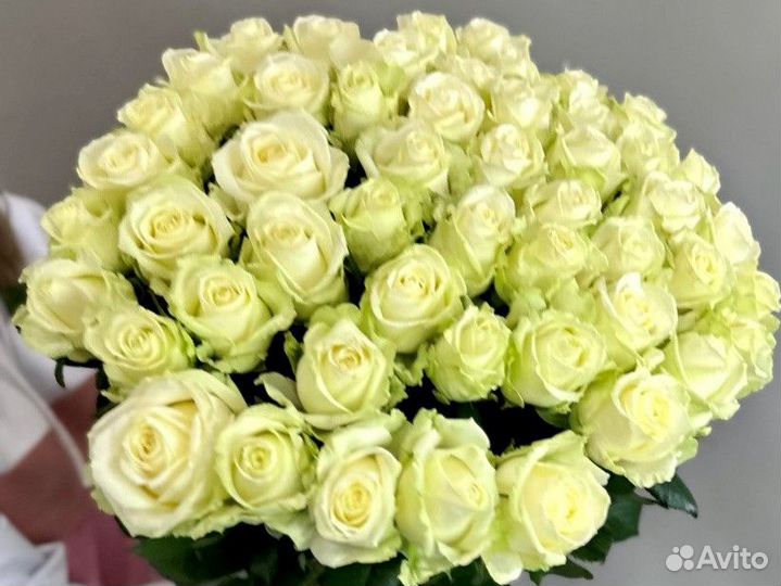 Розы цветы доставка 25 35 51 101