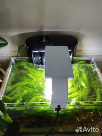 Аквариум 40 литров с наполнением и рыбками