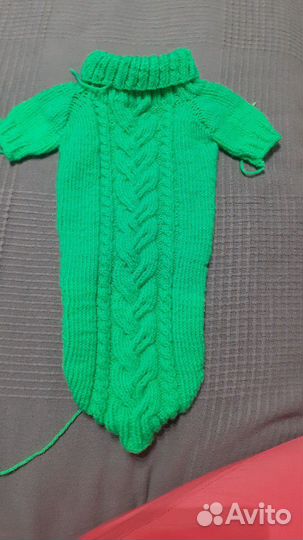 Одежда для домашних питомцев