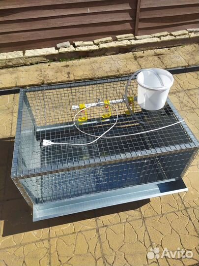 Клетки для кур
