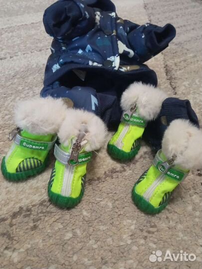 Одежда и обувь для маленьких собак