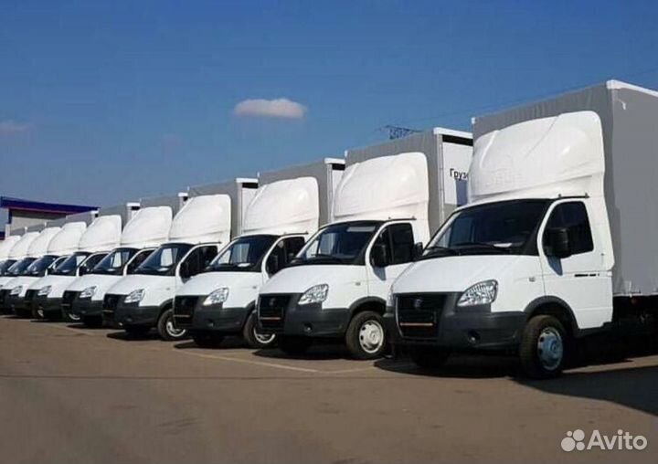 Водитель на Next крупной компании. Грузоперевозки