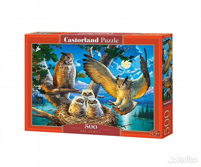 Пазлы 500 Совиное семейство, В-53322, 411323