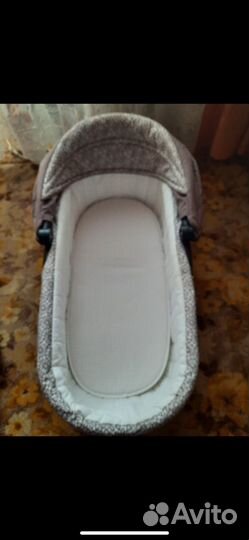 Коляска adamex gloria