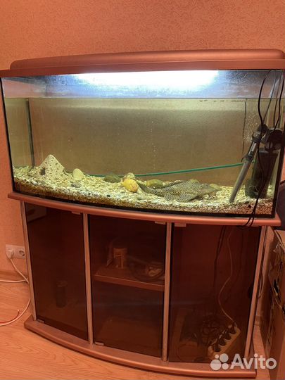 Аквариум