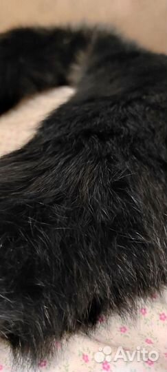 Меховой воротник песец