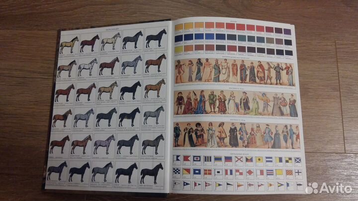 Иллюстрированный толковый словарь Даля