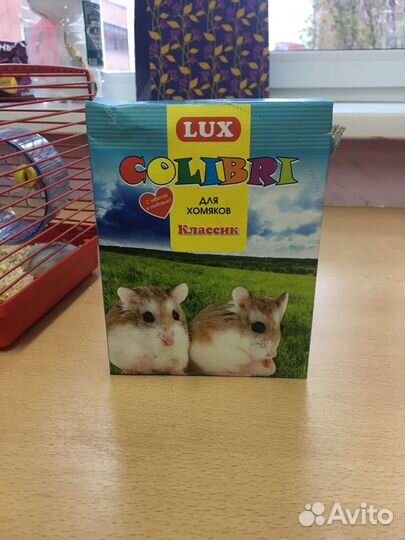 Джунгарский хомяк с клеткой