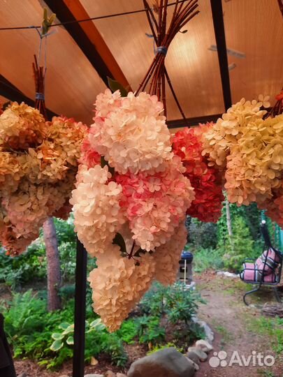 Гортензии в букетах. Сухие букеты на зиму