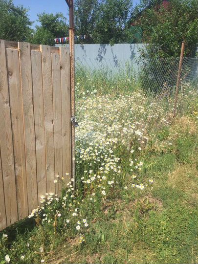 Участок 4 сот. (СНТ, ДНП)