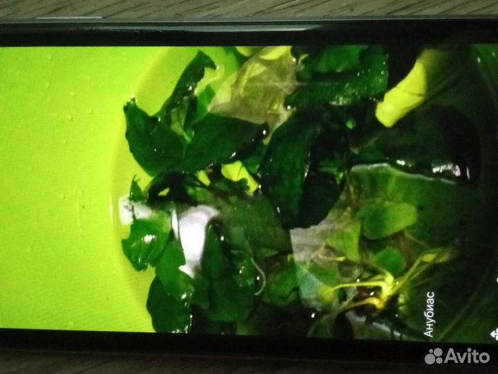 Прополка для аквариума