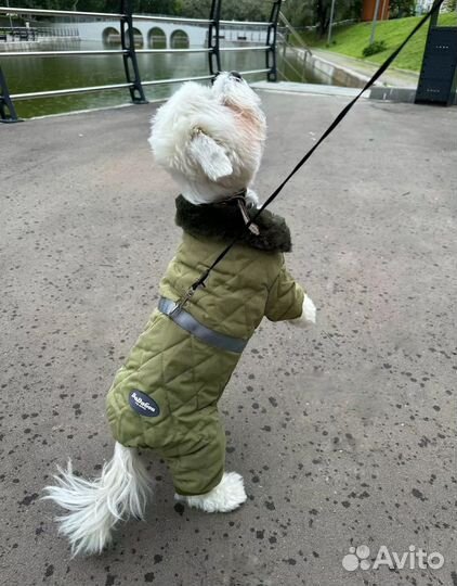 Куртка для маленькой собаки